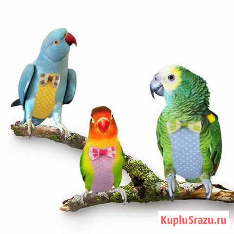 Для попугая одежда Гаспра - изображение 1