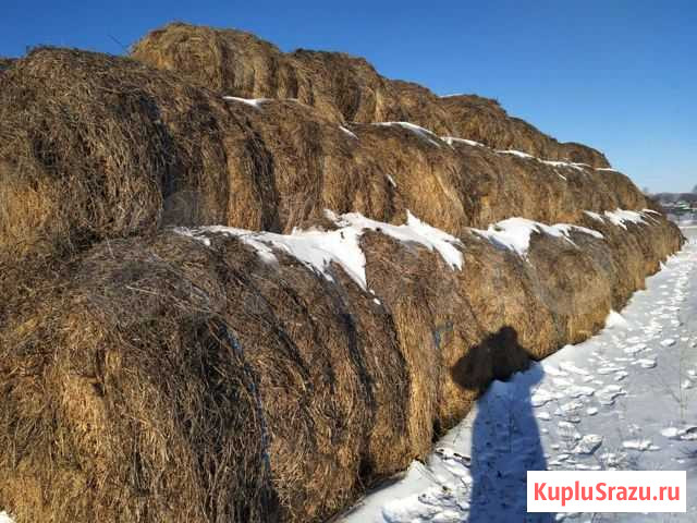 Сено Батырево - изображение 1