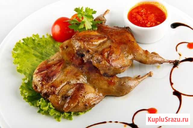 Продам мясо перепелов Острогожск - изображение 1