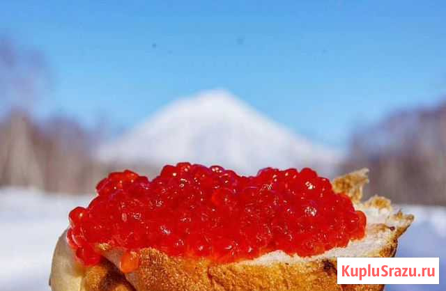 Красная Икра с Доставкой Санкт-Петербург - изображение 1