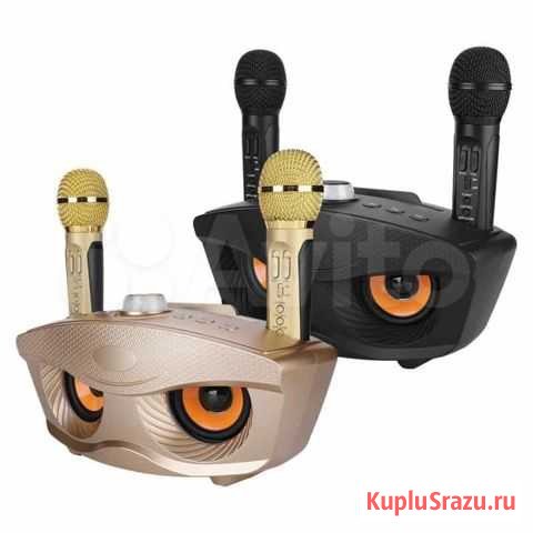 Колонка караоке sdrd SD-306 с двумя микрофонами Санкт-Петербург - изображение 1