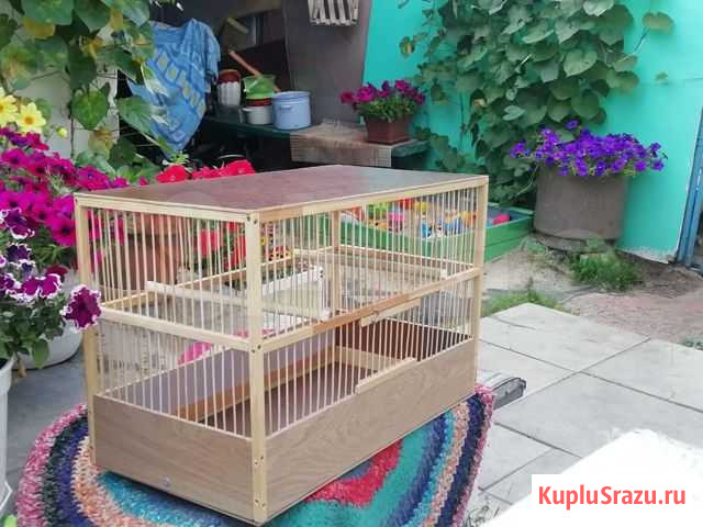 Клетка для птиц Каменск-Уральский - изображение 1