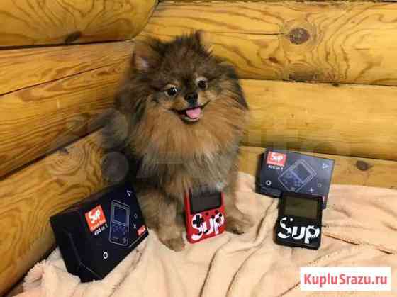 Sup game box Химки