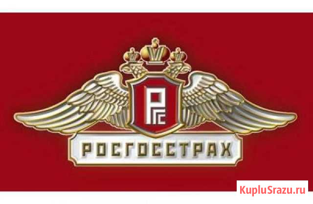 Электронный полис Осаго, техосмотр Вологда - изображение 1