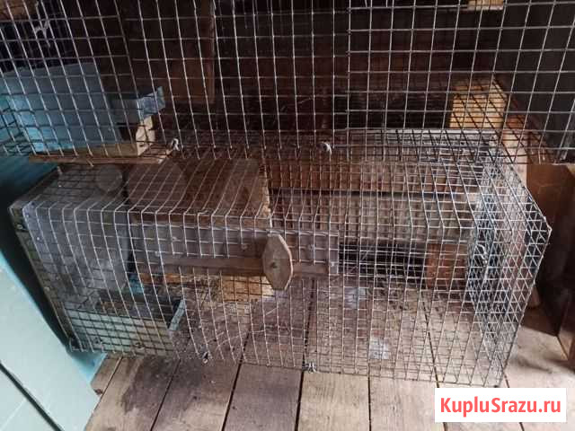 Клетка для кроликов Ковернино - изображение 1