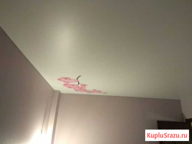 Натяжные потолки Невская Дубровка Дубровка - изображение 1