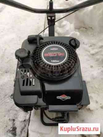 Двигатель briggs stratton от культиватора Владимир