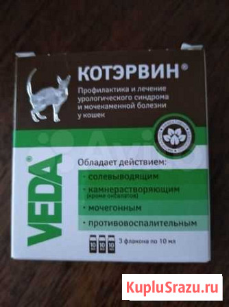 Котэрвин Гусь-Хрустальный - изображение 1