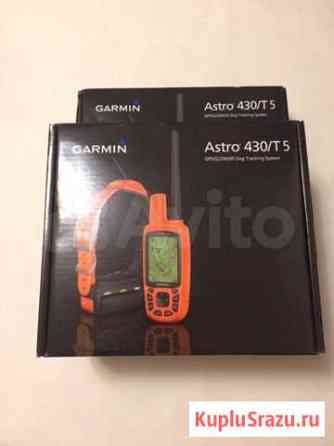 Garmin Astro 430 с ошейником T5 Нижний Тагил