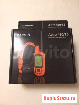Garmin Astro 430 с ошейником T5 Нижний Тагил - изображение 1