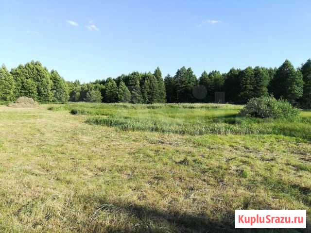 Сено луговое в мешках Клинцы - изображение 1
