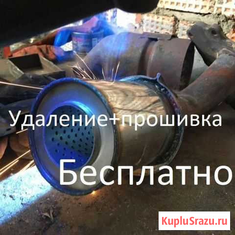 Удаление катализатора в Новосибирске Новосибирск - изображение 1