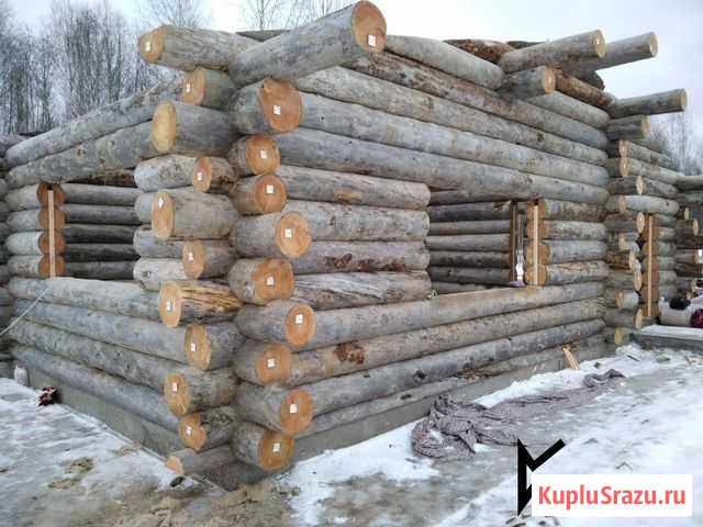 Срубы из кело Тверь - изображение 1