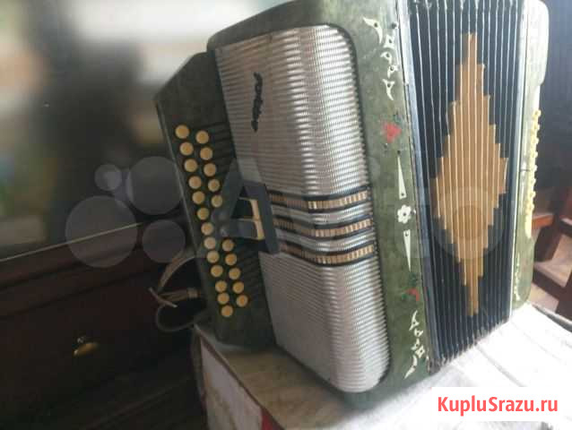 Гармони Сысерть - изображение 1