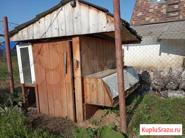 Клетка вольер куры кролики Киров - изображение 1
