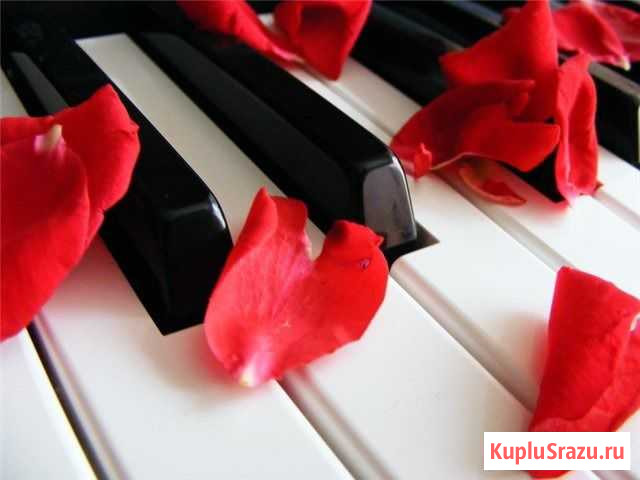 Живая музыка Фортепиано на Свадьбу, праздник Санкт-Петербург - изображение 1