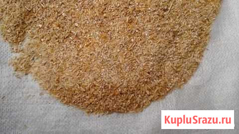 Корма для с/х животных Белогорск - изображение 1