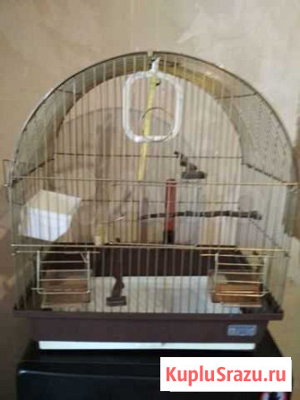 Клетка для птиц Первомайский - изображение 1