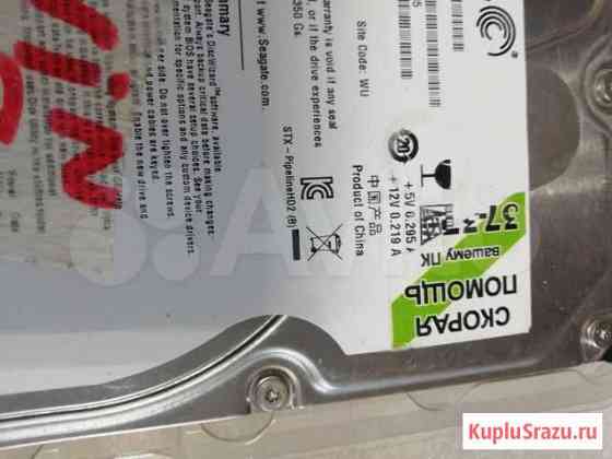 ST31000322CS 1000 GB Seagate Белгород