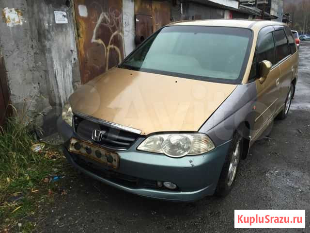 Honda Odyssey по запчастям Елизово - изображение 1
