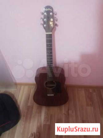 Гитара walden d351+чехол DG Коммунарка - изображение 1