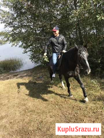 Услуги финансового директора Липецк - изображение 1