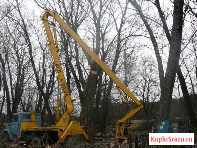 Спил/кронирование деревьев в Брянске и области Брянск - изображение 1