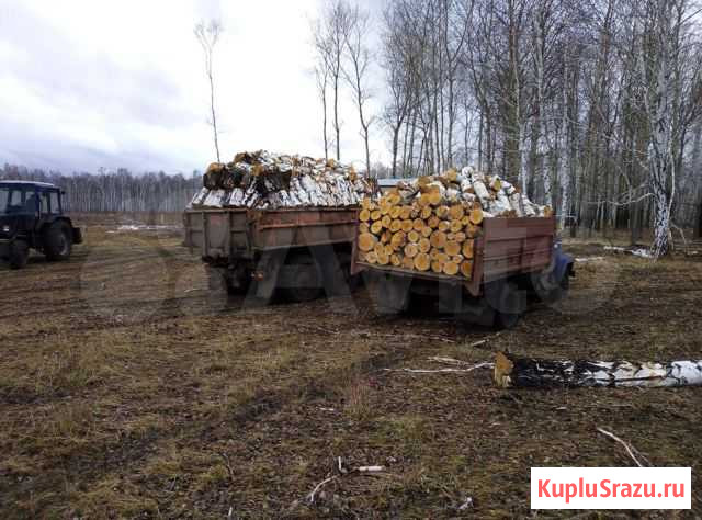 Дрова чурка и колотые Крутинка - изображение 1