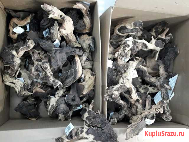Коряги очень красивые мангра, мопани, бонсай Набережные Челны - изображение 1