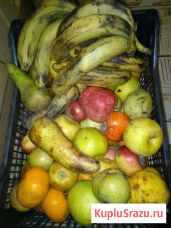 Корма для животных Большое Буньково - изображение 1