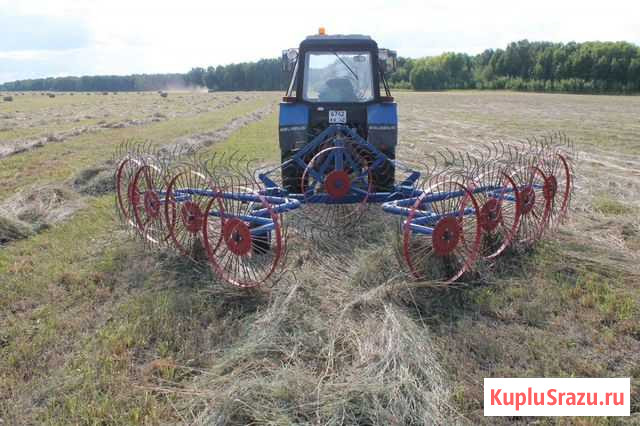 Продам грабли гвв-6 Юрга - изображение 1