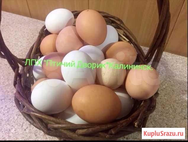 Деревенской Куриное Яйцо Калининск - изображение 1
