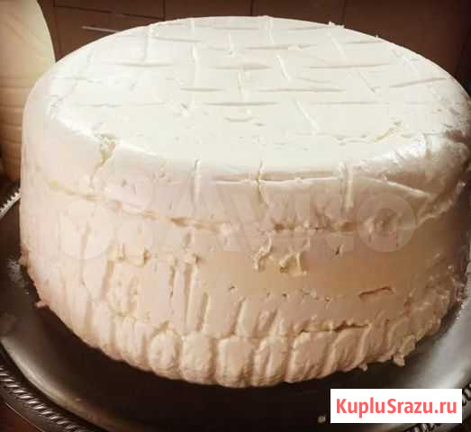 Творог пластовой Люберцы - изображение 1