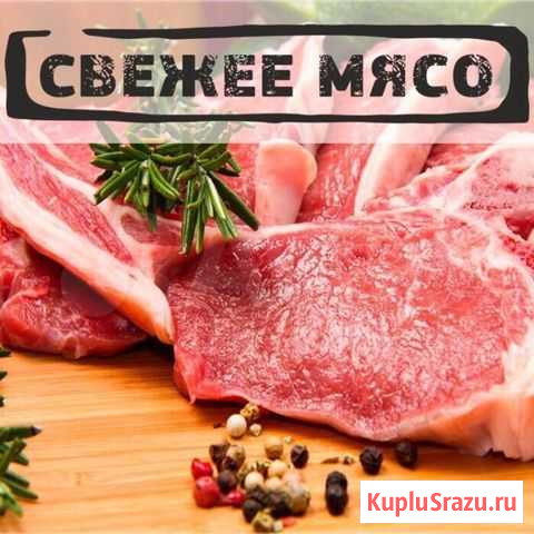 Мясо Пугачев - изображение 1