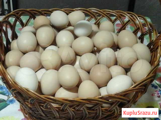 Яйцо куриное домашнее с доставкой Губкин - изображение 1