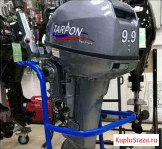 Лодочный мотор 9,9л.с.2-хткт tarpon Т-OTH 9,9S Санкт-Петербург