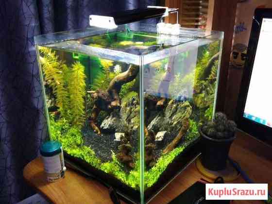 Для аквариума Набережные Челны