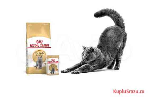 Royal Canin для кошек в больших мешках Красногорск