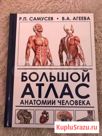 Анатомия человека Кисловодск - изображение 1