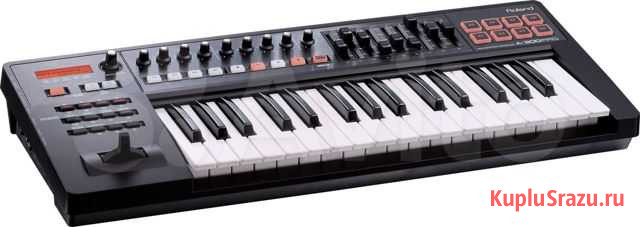Roland A-300PRO Оренбург - изображение 1