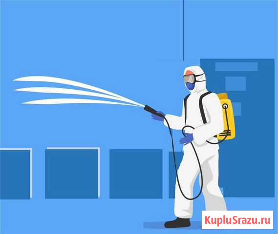 Дезинсекция от клопов и тараканов Махачкала - изображение 1