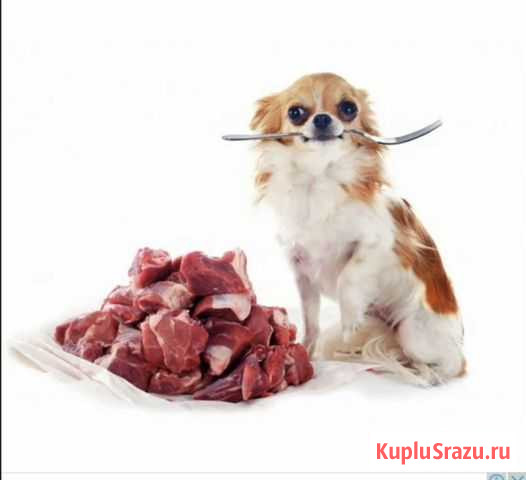 Корм для собак Котовск - изображение 1