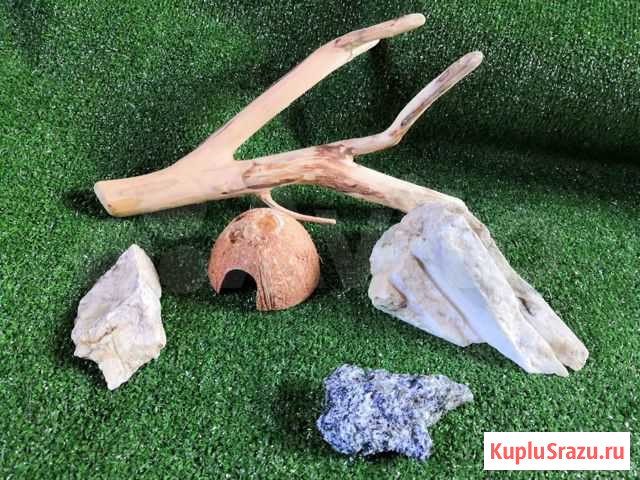 Коврик в террариум травка. Коряга Ступино - изображение 1