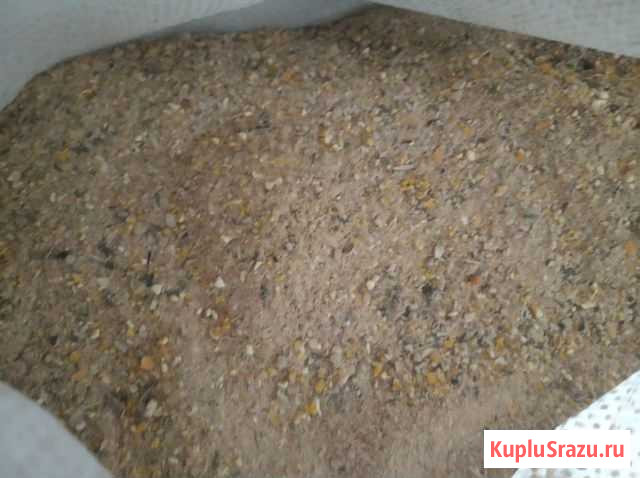 Камаз Роговская - изображение 1