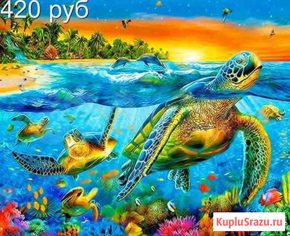 Картина по номерам 40х50 Черепахи Киров - изображение 1