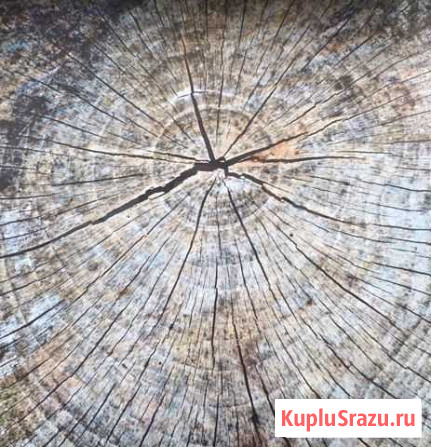 Фотофон виниловый 50*50 см Моздок - изображение 1