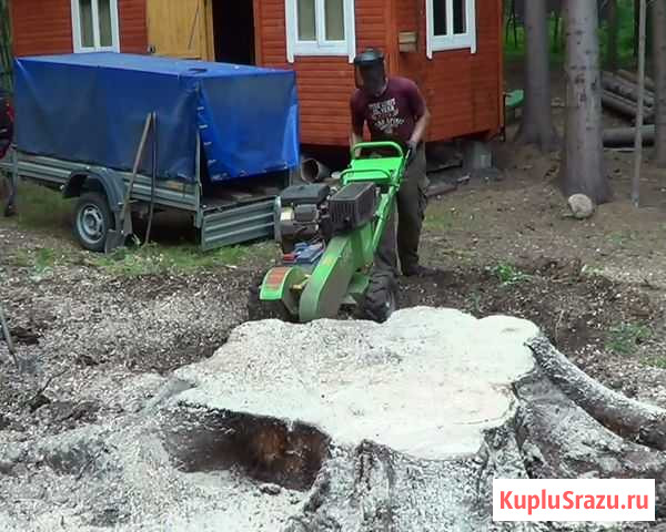 Корчевание пней, удаление пней Брянск - изображение 1