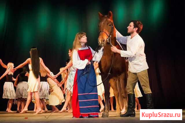 Фото прогулки на лошадях Петрозаводск - изображение 1
