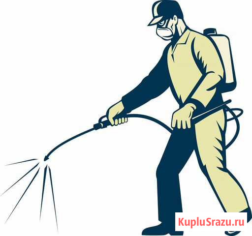 Дезинфекция, дезинсекция, дератизация Нижний Новгород - изображение 1