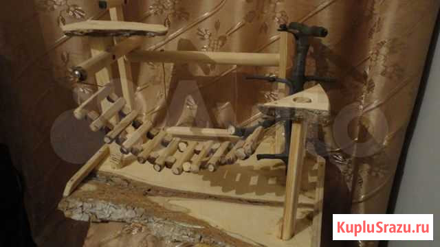 Для аси Борисоглебск - изображение 1